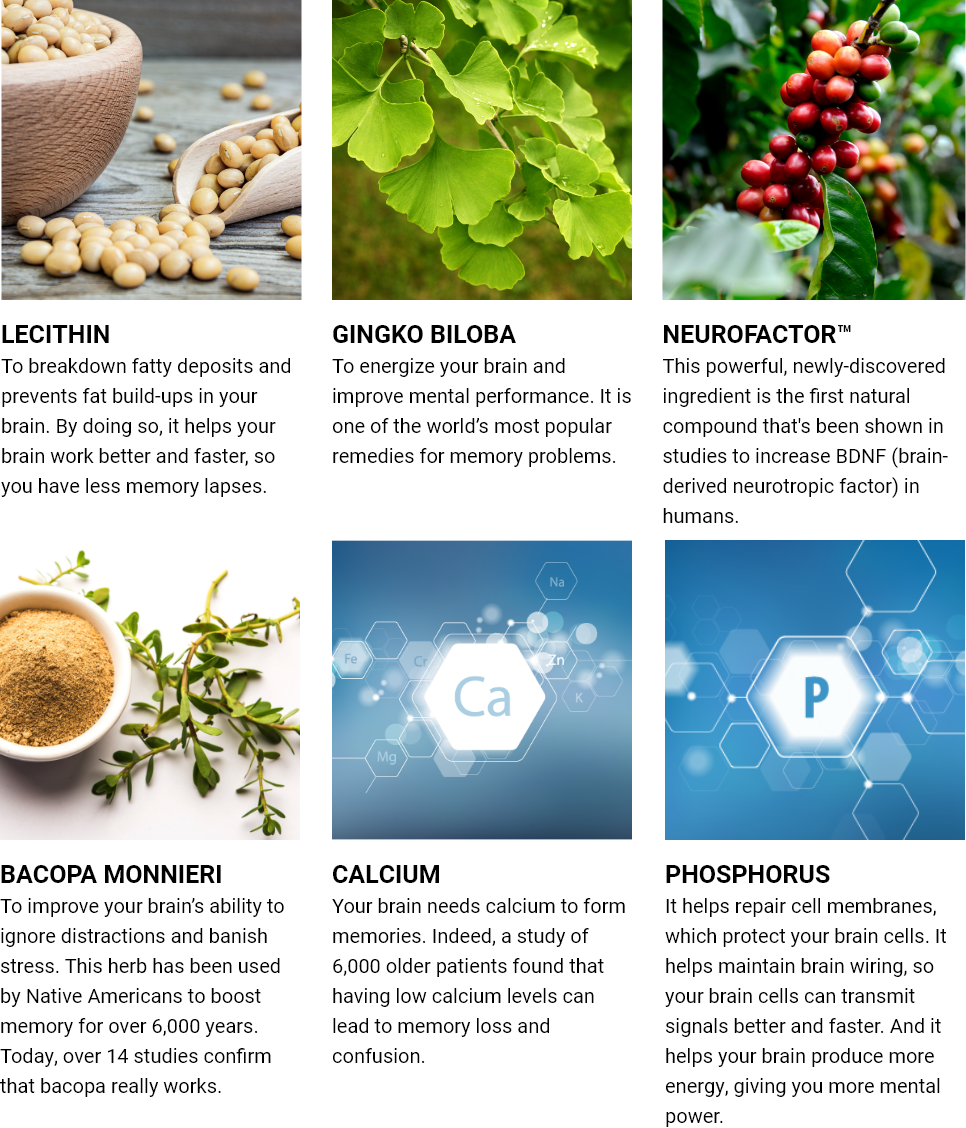 Ingredient Banner IMG 8571